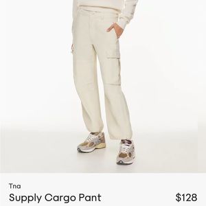 Aritzia Supply Cargo Pant